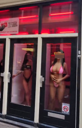 【動画】ヨーロッパの風俗街、女の子が丸見えで選び放題?の画像