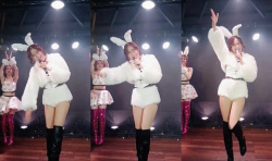 【画像】杉本彩(57)バニー姿を披露 有りなのかの画像