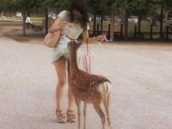 ラッキースケベな瞬間って嬉しくなるよね♪うっかり女の子が撮られてしまったパンツ…ハプニングエロ画像の画像