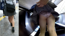 [ふくろう動画] めくり撮りパンチラ part47 プレミアム4「制服好きは買いましょう」＜JKパンチラ盗撮＞の画像