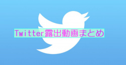 Twitterからの素人さん野外露出動画まとめ：パート５の画像