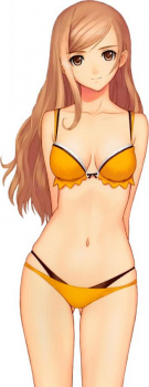 【二次】（水着）ビキニの女の子のぬける画像の画像