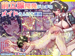 前立腺開発が上手なメイドさん付き賃貸 [d_708308]の画像