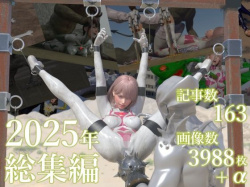 tsumayoji研究所 2025年 総集編 [d_724968]の画像