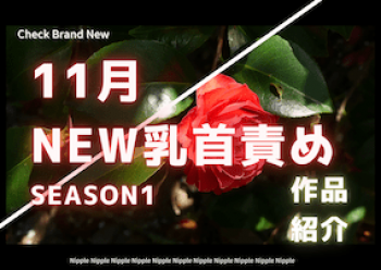 11月乳首責め期待新作を紹介!_Season1の画像