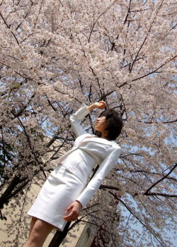 美人教師まどかの～春！　菊原まどか。の画像