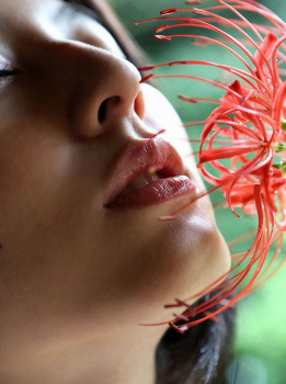 幸せを呼ぶ~偶然!パンチラ~ 3 plusの画像