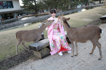 着物の上からでも分かる巨乳、奈良公園で撮影した着物の着衣フェチなエロ画像47枚の画像