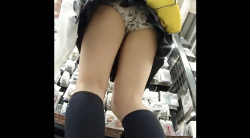 jkパンチラの画像