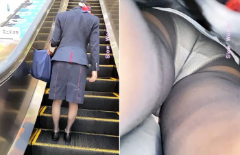 制服CAさんパンスト越しの透けパンがエロすぎるパンチラ逆さ撮り画像の画像