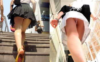 階段パンチラ!犬目線で女子のスカート内が丸見え画像の画像