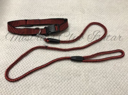 白檀専用道具-首輪・リード/ Collar Leashの画像