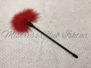白檀専用道具-フェザースティック/ Feather stickの画像