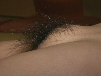 もりまんな女の子のエロ画像！剛毛やパイパンもあるよｗの画像