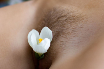 おまんこを花瓶のように使って生け花してるエロ画像！これぞ現代アートｗの画像