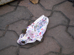 ブラジャーやパンツが地面にポイ捨てされてる画像！青姦でもしたんかｗの画像