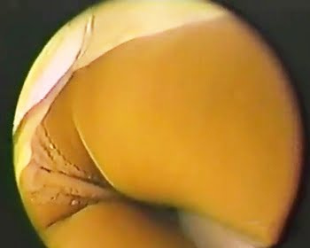 百貨店で買い物中の淑女たちのセクシーパンチラの画像