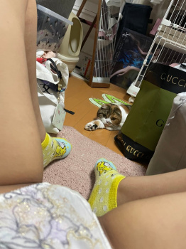 【画像】オナろうとしてたら覗かれてたの画像