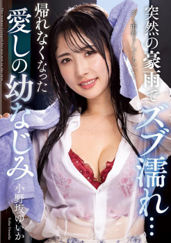 今年のありえないAV大賞「突然の豪雨でズブ濡れ」下着ｽｹｰの画像