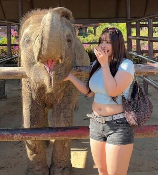 【画像】豊満ギャル「待って、動物園行ったらゾウ?より足太かったんだけどw」の画像
