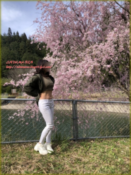 【やっぱ桜に温泉だぁね　(^^;)】の画像