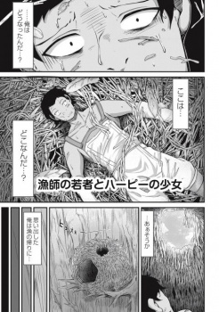 【エロ漫画・奥ヴぁ】漁師の若者とハーピーの少女　男の精液を飲んで発情したハーピーの少女が交尾をおねだりして中出ししまくる男の画像