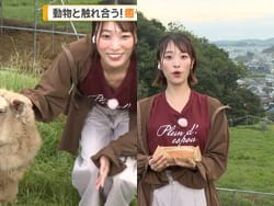 グッドモーニングで巨乳気象予報士の今井春花が前屈みでおっぱい谷間ハプニングの画像