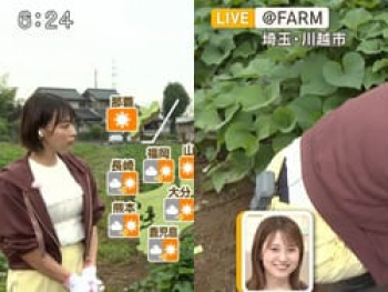 巨乳気象予報士の今井春花がしゃがみ込んで黒パンチラ放送事故の画像