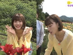旅サラダで江田友莉亜がリポート中に貧乳谷間晒す放送事故の画像